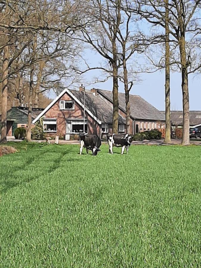 Hoeve De Laan Woudenberg Eksteriør billede